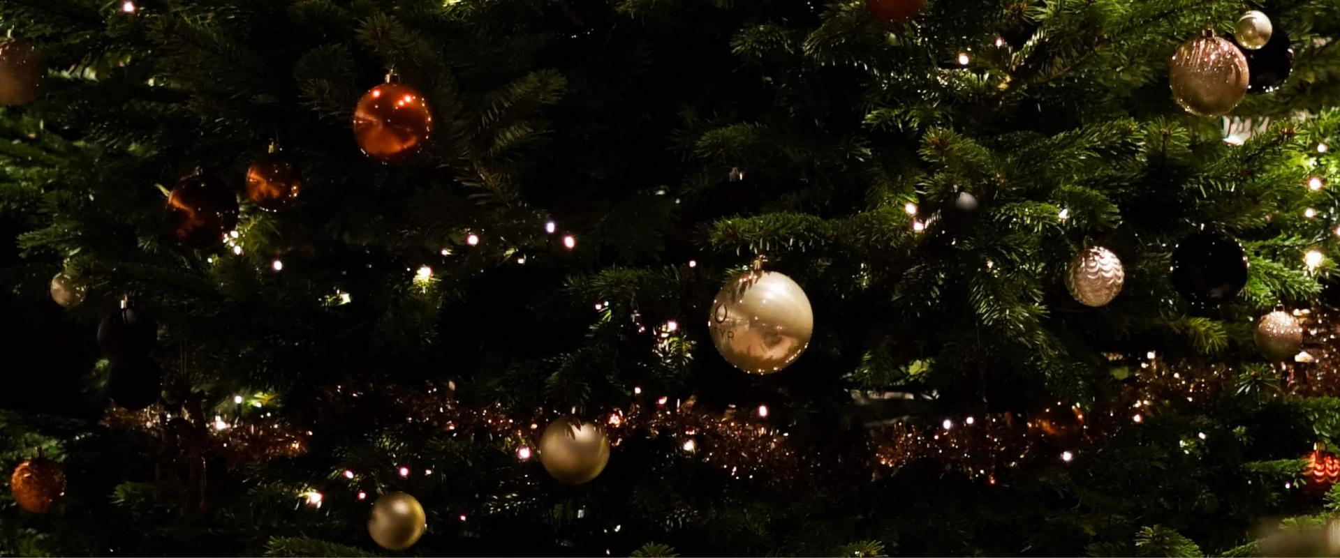 Die 5 besten Geschenkideen für OFYR-Besitzer 