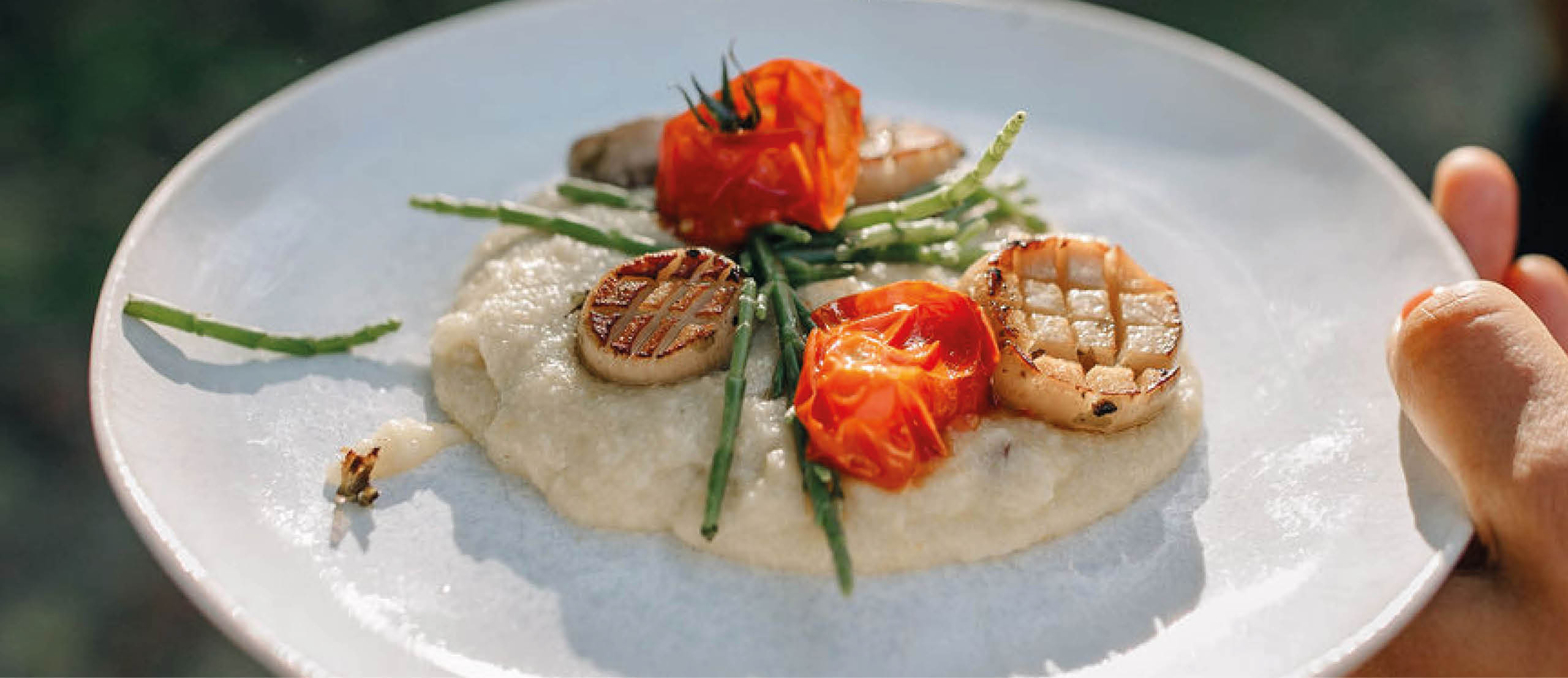 Vegan Scallop auf cremiger Polenta